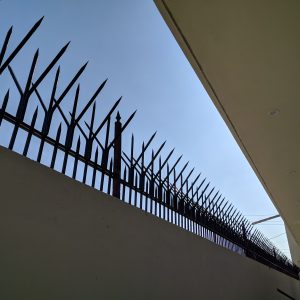 117709370_766084737525333_7401215285608122258_n